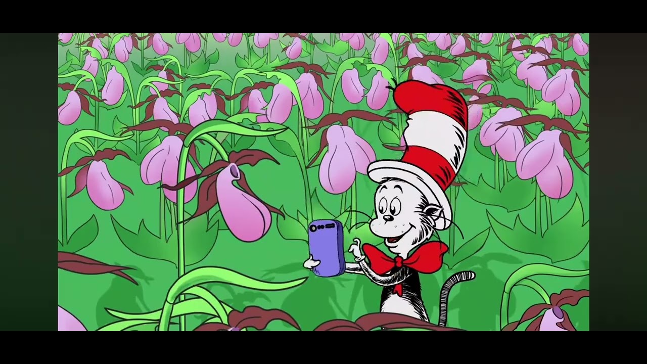 The cat in the hat knows a lot about camping little cat C says what a beautiful all right 