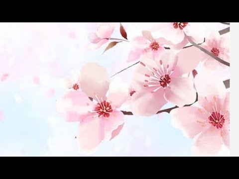 عطري بيتك ببلاش جربيها مش هاتندمى