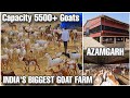 AFK Agronomics LLP Azamgarh | India's Biggest Goat Farm | Capacity 5500+ Goats