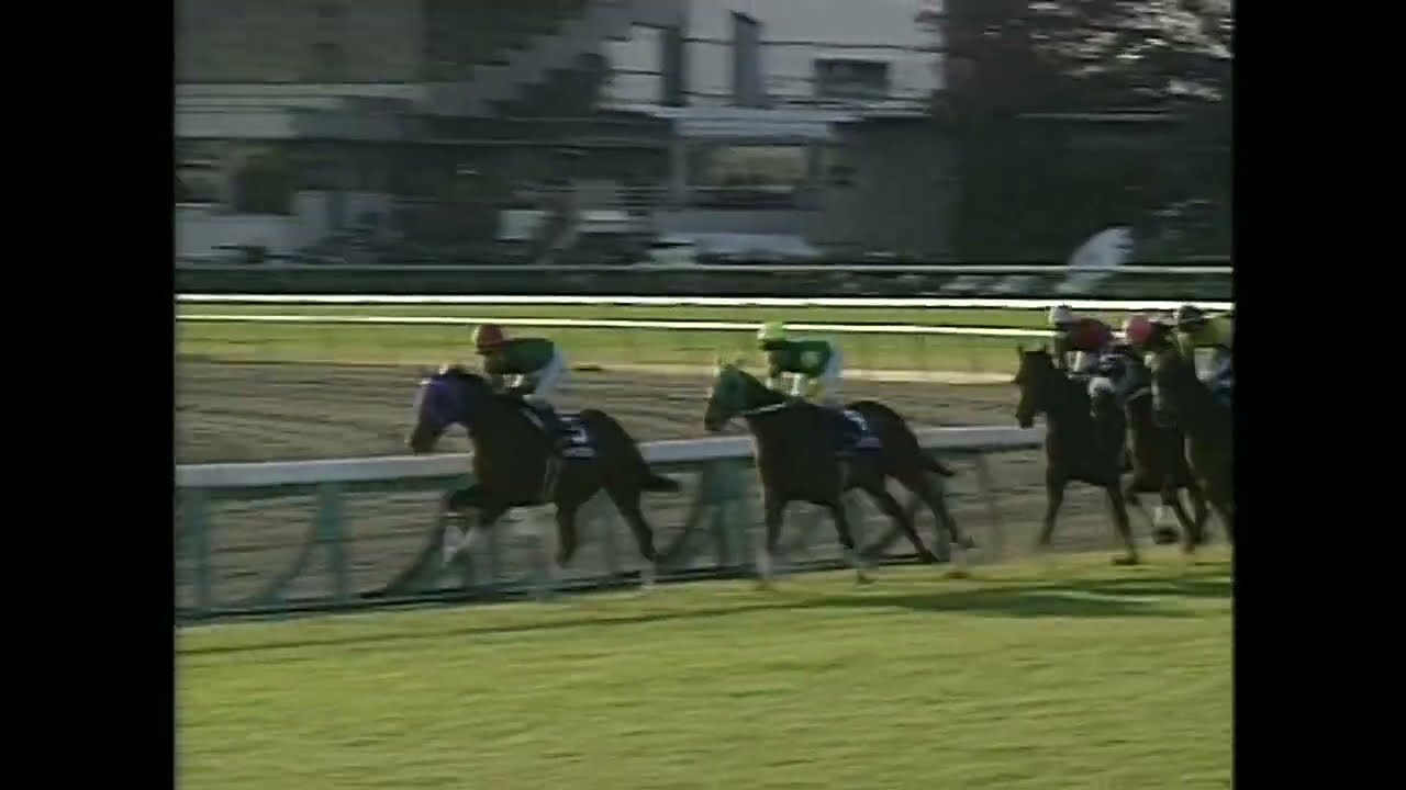 2000年有馬記念 テイエムオペラオー - YouTube