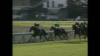 2000年有馬記念 テイエムオペラオー - YouTube