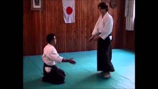 Muestra de Examen de 2do Kyu por Miyazawa 2002