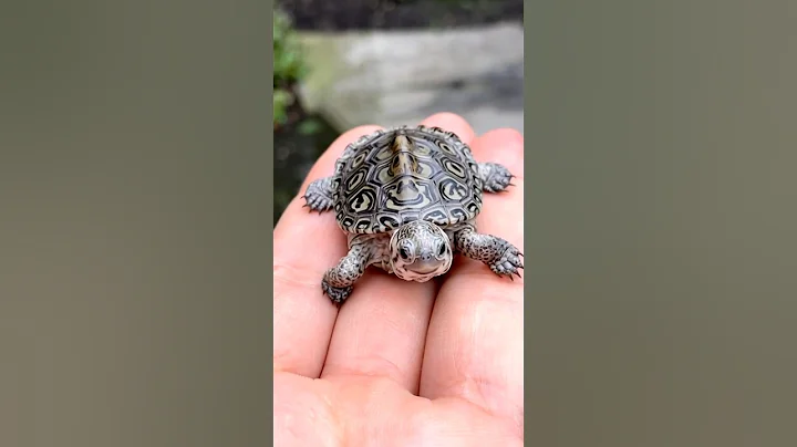 the power of transformation