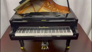 My Neighbor Totoro（My Neighbor Totoro）MIDI