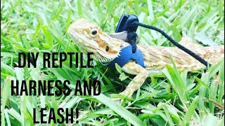 How to make a diy reptile harness (beareded dragon &leopard gecko)