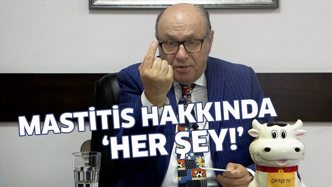 Mastitis Hakkında 'HER ŞEY'