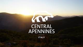 Rewilding Apennines: Volunteer program promo