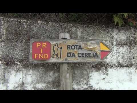 ALCONGOSTA - CAPITAL DA CEREJA