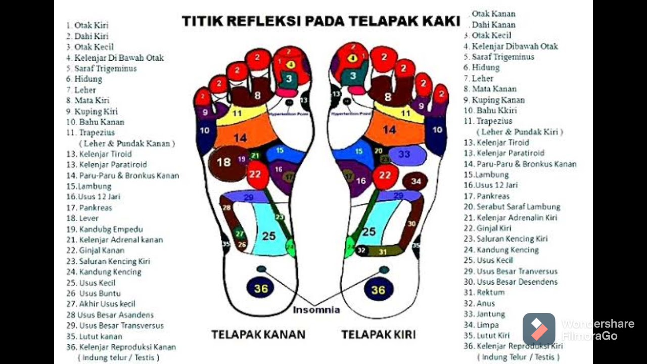 Kaki Hoshu