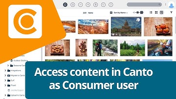 How Consumer users access content in Canto