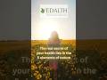 Discover the Secret of 5 Elements for Wellness | Vedalth