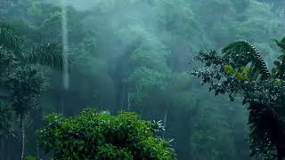 Relaxing Music,  Soft Rain Sounds - Relaxing Piano Music, Sleep Music, Peaceful Music