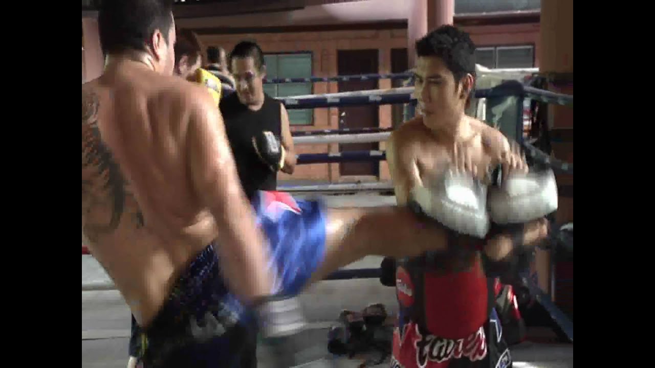 THAI MMA K1 TRAINING KPLC 1 PAIR 4 SIZE FAIRTEX CURVED KICK PADS BOXING MUAY