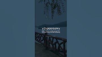 أجمل تلاوة ممكن تسمعها 🌿💛 #تلاوة_خاشعة #quran #تيك_توك #قران_كريم