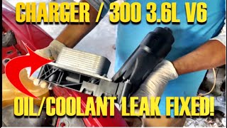 2011-2021 DODGE CHARGER/CHRYSLER 300 3.6L V6 ENGINE OIL COOLER REPLACEMENT *DETAILED STEP BY STEP*