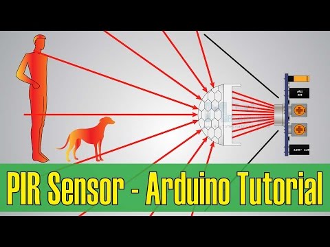 How PIR Sensor Works and How To Use It with