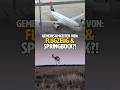 Flugzeug VS. Springbok?!