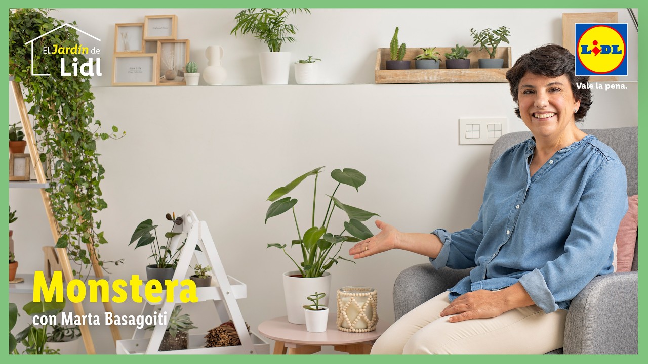Cuidados de la Monstera   | El Jardn de Lidl | Lidl Espaa
