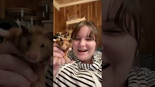 He’s my best friend #hamster #pets #cute #animals #fluffy