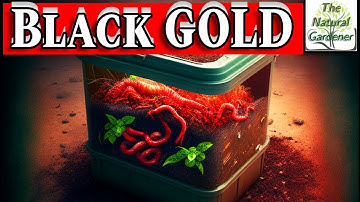 Unlocking the Secrets of Worm Castings: Pros and Cons