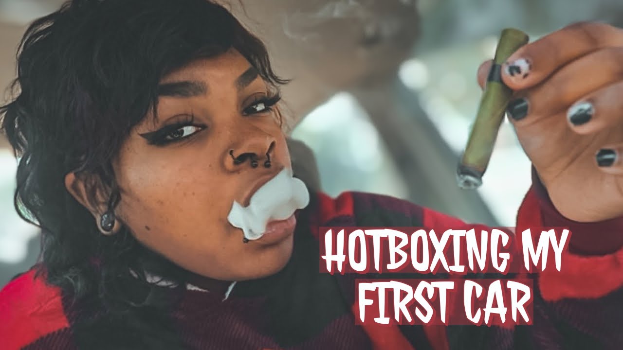 King Palm Winter Car Hotbox!