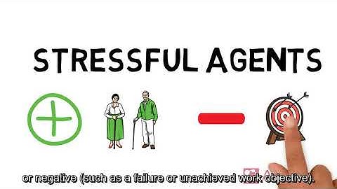 Job Demands and Resources Model (English)