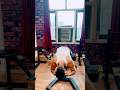 🔥 LOWER BACK Exercise 🔥 #LowerBack #BackWorkout #GymMotivation #Fitness #Workout