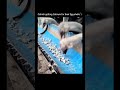 They Melt Stones #ostrich #shorts #youtubeshorts