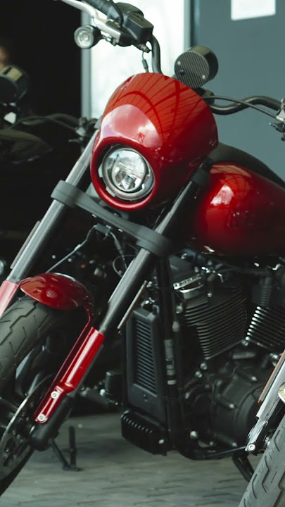 Upgraded 2025 Low Rider S with Bassani Exhaust