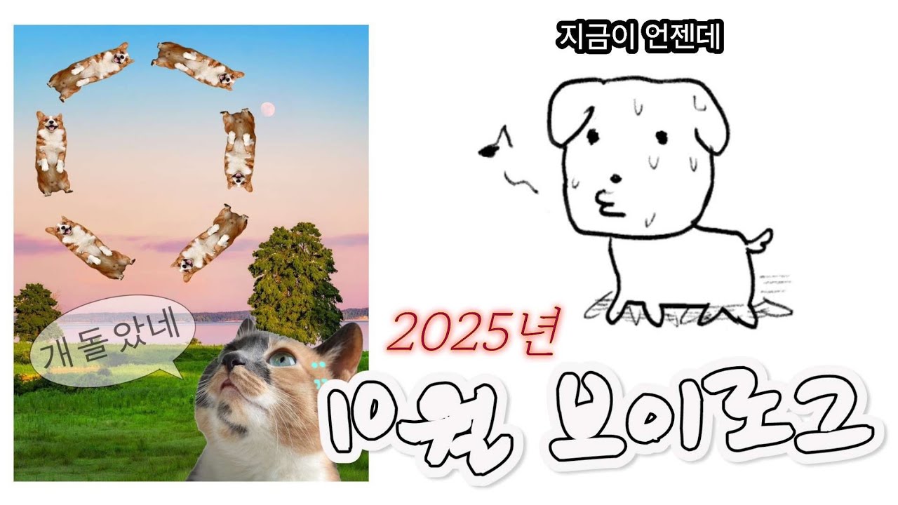 #4️⃣4️⃣ 10월 일상 v log [ 추석보내고 또 밴드보러 다니느라 바쁘기 -그민페 라라라온 클럽 AOR FF ]