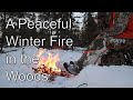 A peaceful fire in the winter woods