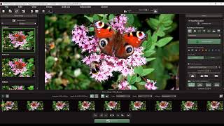 Accelerated Vision video programs - Video Interface