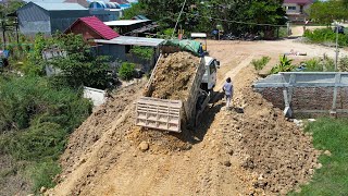 Wonderful Processing Best Bulldozer With Skills Pushing Dirt Truck Dumping Dirt in Strong Action