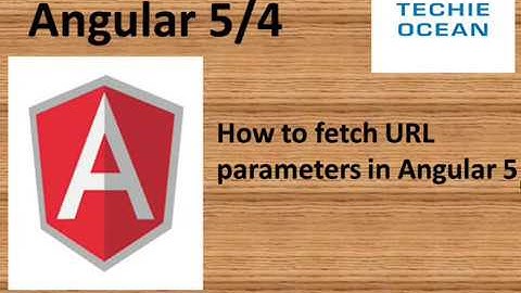 Angular  Fetching URL parameters