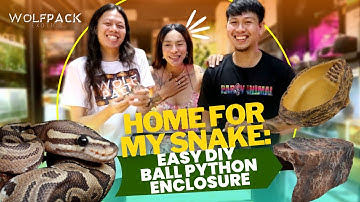 HOME FOR SNAKE: EASY DIY BALL PYTHON ENCLOSURE | Wolfpack Exotics