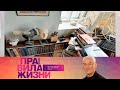 Правила жизни. Эфир 11.05.2021 @Телеканал Культура