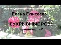 Елена Елисеева. Неукрывные розы. часть2.