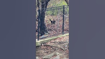 Flip 34  |  Flipping A Dime Everyday Until The Glass Overflows #coin #coinflip #money