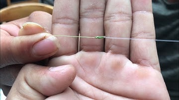 Hướng Dẫn ( Chia Sẽ) Cách Tóm Leader shock và lưỡi câu cá lóc | Thuận Tv Fishing