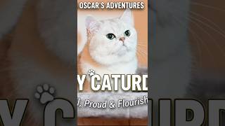 Happy Caturday! 🐾 Sir Oscar’s Message: Be Tall, Proud &amp; Flourish! | #siroscar #zaracat