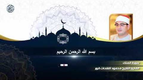 القارئ الشيخ محمود الشحات محمد انور سورة (الملك)❤