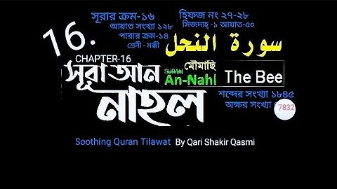 016) ✍♥️ সূরা আন নাহল | আন নাহাল | سورة النحل | Surah An Nahl | ✍♥️ Qari Shakir Qasmi Quran Tilawat