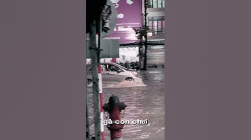 Quê em Cần Thơ mùa nước nổi.