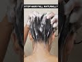 Stop Hair Fall Naturally: My 7-Day Hair Rescue Plan