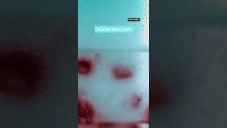 Its Not Summer Until The Summer-Berry Refresher Is Back