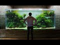 CRAZY Aquascaped Aquariums! Sumida Aquarium Tour in Tokyo Japan