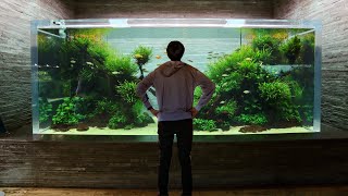CRAZY Aquascaped Aquariums! Sumida Aquarium Tour in Tokyo Japan