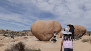 Earth Day at Joshua Tree National Park