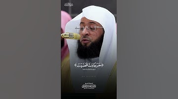 تلاوة جميلة من سورة النساء _ القارئ: بدر التركي#اكسبلور #المصحف #راحة_نفسية