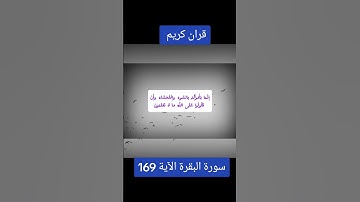 #قران_كريم سورة البقرة الآية 169